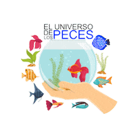Sticker by eluniversodelospeces
