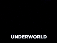 underworldlive festival live rave crowd GIF