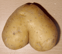 potato moving GIF