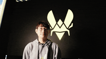 Esports Vita GIF by Team Vitality