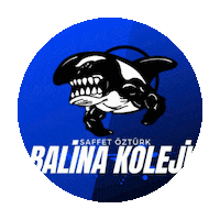 balinakoleji bk kolej bks ozturk Sticker