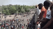 haiti protests GIF