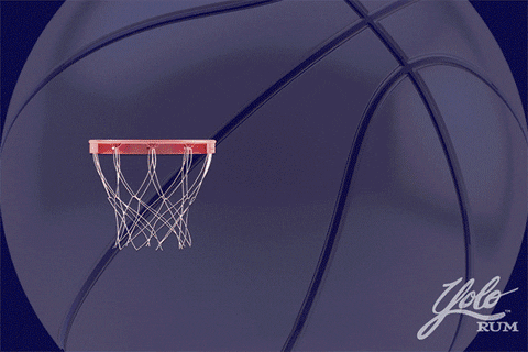 Basketball Bounce GIF by Yolo Rum