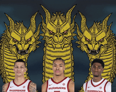 Arkansas Razorbacks Basketball GIF