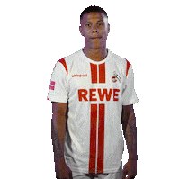 1 Fc Cologne Football Sticker by 1. FC Köln
