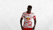Football Yes GIF by RB Leipzig