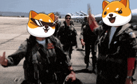 Fun Crypto GIF by Baby Doge Coin