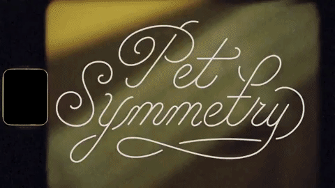 polyvinylrecords giphygifmaker polyvinyl records pet symmetry stare collection GIF