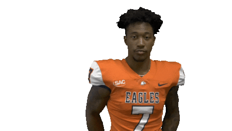 Cnfb Sticker by Carson-Newman Athletics