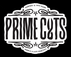 Primecutsnursery prime cuts nursery GIF