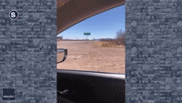 Roadrunner and Dust Devil Combine to Create Looney Tunes Vibe on Texas Road