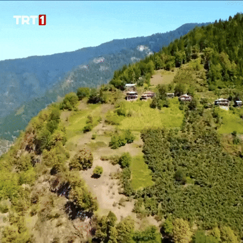 Fresh Air Forest GIF by TRT