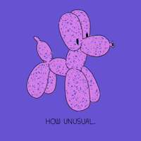 Dog Wtf GIF