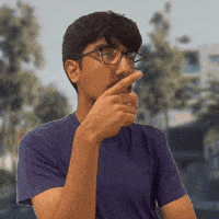 N Roosevelt Boulevard GIF