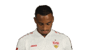 Look Up Vfb Stuttgart Sticker by Bundesliga