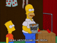 homer simpson GIF