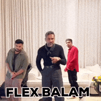 memespiree glory millionaire honey singh yo yo honey singh GIF