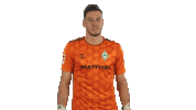 Werder Bremen No Sticker by Bundesliga