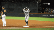 gobearcats what confused cincinnati bearcats GIF