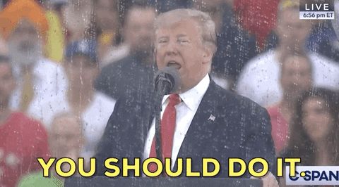 giphyupload giphynewsuspolitics donald trump giphynews you should do it GIF