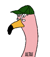 socks flamingo Sticker by Altai Company