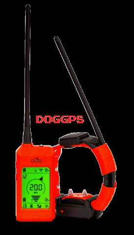 doggps collar dogcollar doggps trainingcollar GIF