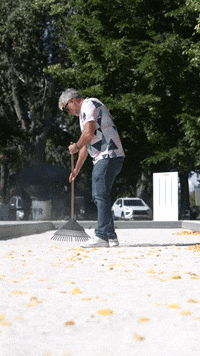 GIF by bogus basin