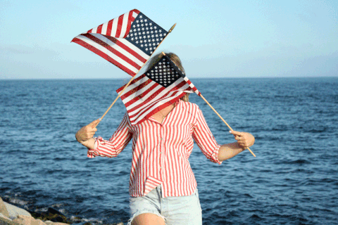 murica GIF