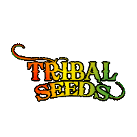 Bob Marley Reggae Sticker by Tribal Seeds