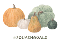 Pumpkin Squash Sticker by amy zhang