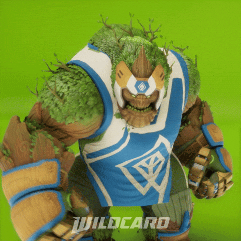 Lets Go Win GIF by Wildcard