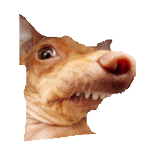ugly STICKER by imoji