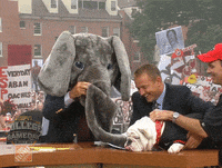 espn alabama GIF by College GameDay