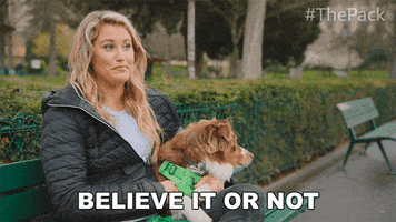 The Pack Dogs GIF by Amazon Prime Video