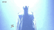 triple h wrestling GIF by WWE