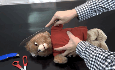 GIF by Mashable