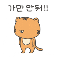 showhi 고양이 심심 핸드폰 호냥이 GIF