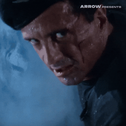 Sandra Bullock Film GIF by Arrow Video