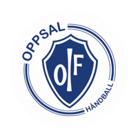 Rema1000Ligaen Sticker by Norsk Topphåndball