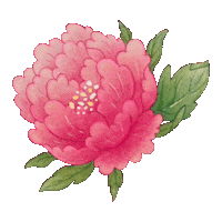 Pink Flower Sticker by sooryehanofficial