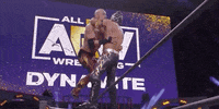 Aew On Tnt The Young Bucks GIF by All Elite Wrestling on TNT