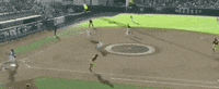 James Madison Celebration GIF by NCAA Championships