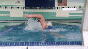 Wethebeach Virginiawesleyan GIF by VWU Marlins