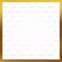 Party Community GIF by Staatsloterij