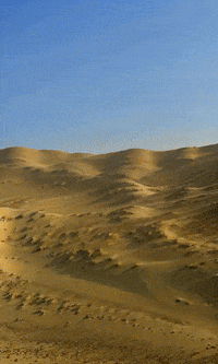 Sa Sd GIF by Aleksey Efremov