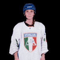 federazioneghiaccio hockey ice wintersport sportinvernali GIF