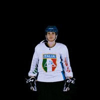 federazioneghiaccio hockey ice wintersport sportinvernali GIF