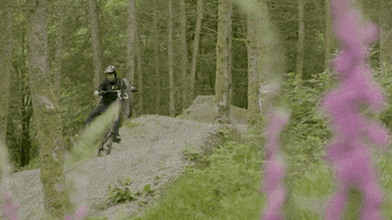 Bmx Bikes GIF by Santa Cruz Bicycles