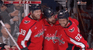 Ice Hockey Love GIF by NHL