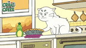 Craig Of The Creek Cat GIF by Cartoon Network